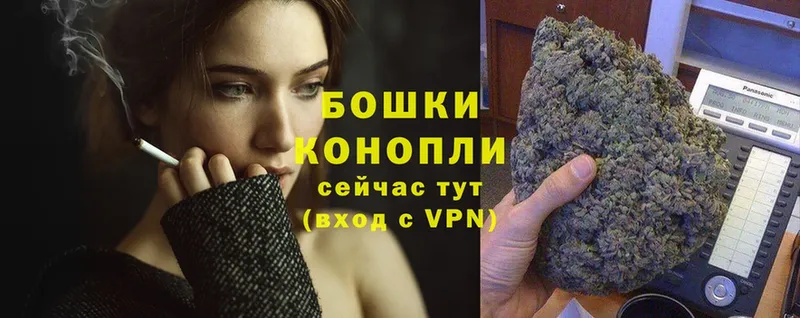 Шишки марихуана Amnesia  купить наркотики сайты  Курчалой 